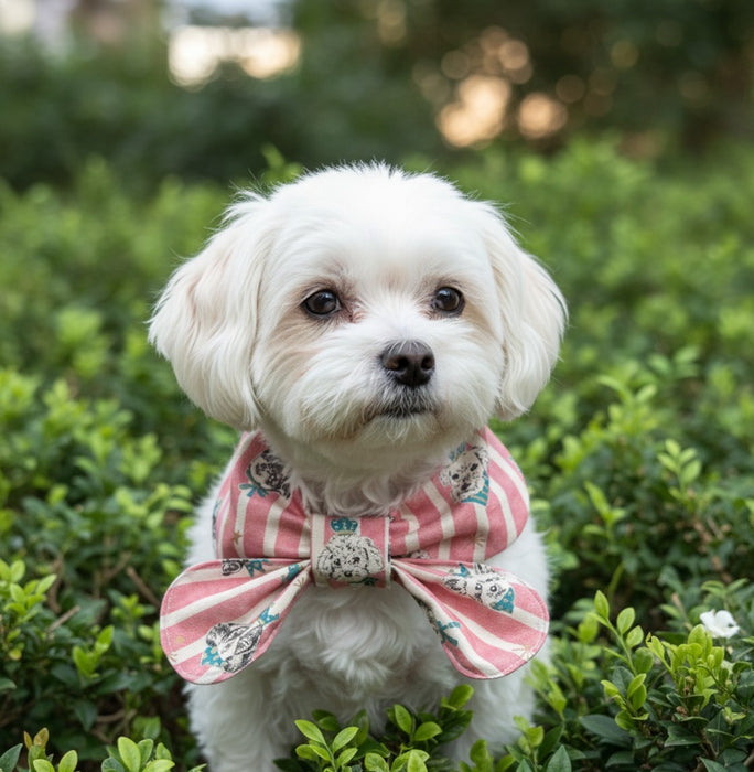 Pet Bib Sewing Workshop – 2-Hour DIY Class at The Blues-Oasis Terraces (Materials Included)